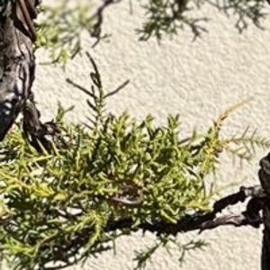 Meet your Posher, D wang